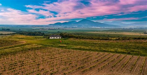 Tokaj Today.